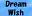 Dream Wish ����